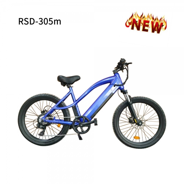 ELECTRIC BIKE RSD-305M