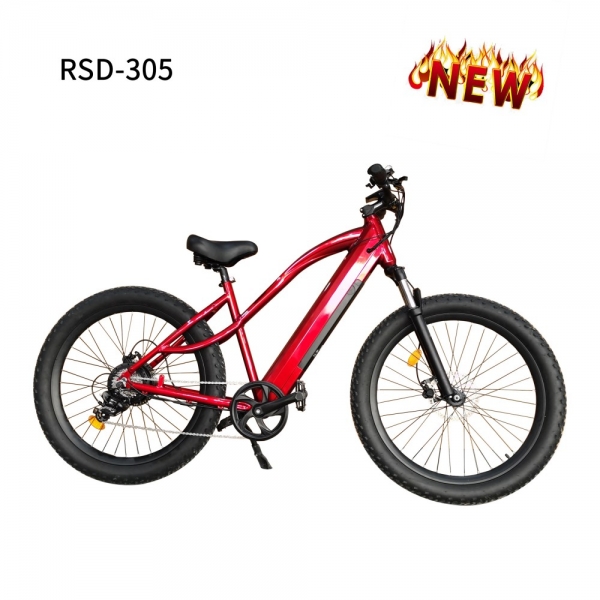 ELECTRIC BIKE RSD-305