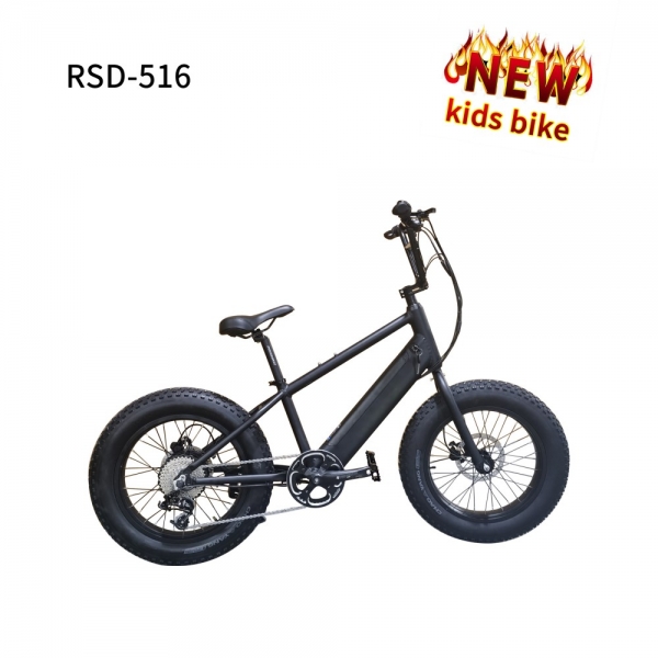 FAT TIRE 20INCH RSD-516