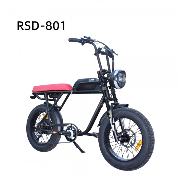 FAT TIRE 20INCH RSD-801