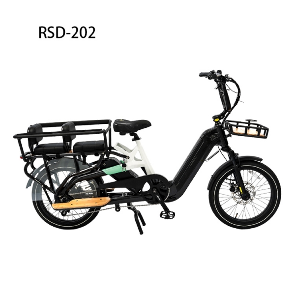 20 Inch Electric Cargo Bike 36V/48V Aluminum Alloy Utility E-Bike RSD-202