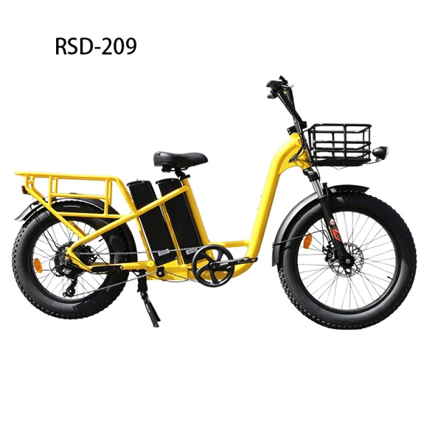 48V 750W 20Ah Heavy Duty Utility Carrier Dual Battery Cargo Electric Bike RSD-209