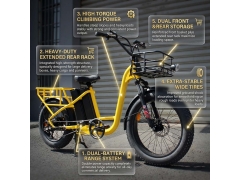 Want a powerful long-range cargo bike? Check RSD-209 48V 750W Dual Battery E-Bike