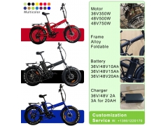 Foldable 20 x 4.0 Fat-Tire Electric Bike RSD-507 with Bafang Motor
