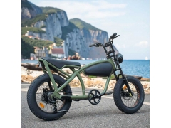 Retro Power for Group Adventures: Ristar Unveils RSD-510P 20-Inch Vintage Fat Tire E-Bike for Event Rental & Tourism Fleets