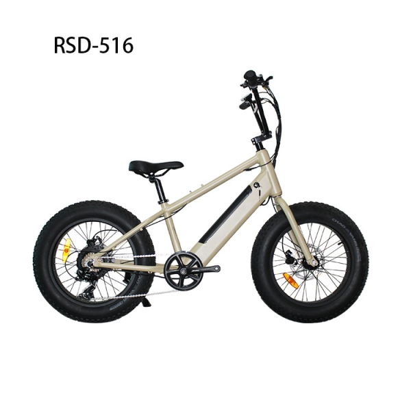 FAT TIRE 20INCH RSD-516