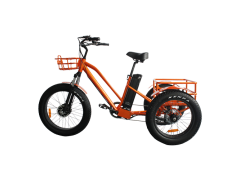 Adult 3-Wheel 500W Electric Tricycle RSD-706 with Bafang Motor and Samsung Battery