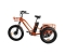Electric Tricycle