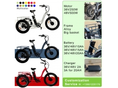 48V 500W Fat-Tire Electric Tricycle RSD-708 with Bafang Motor and Suspension