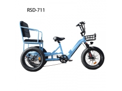 New Arrival 711 Electric Passenger Tricycle | 48V 750W Brushless Motor | 7-Speed