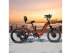Revolutionizing Urban Utility: Ristar Launches High-Capacity 20-Inch Fat Tire 3-Wheel Electric Cargo Tricycle RSD-716