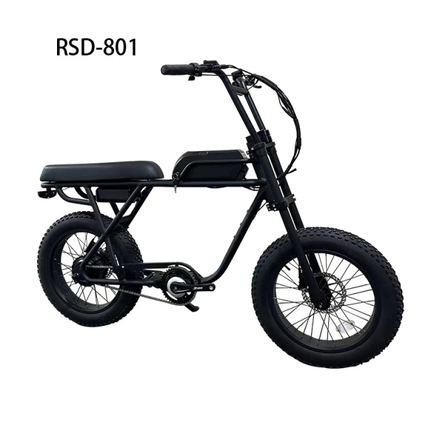 FAT TIRE 20INCH RSD-801