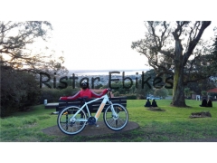 Beautiful scenery with Beautiful Electric Bicycle