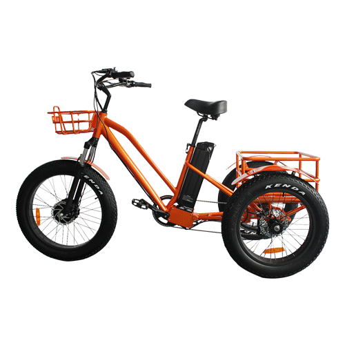Electric Tricycle