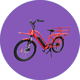 E cargo bike/trike