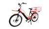 Ebike Cargo